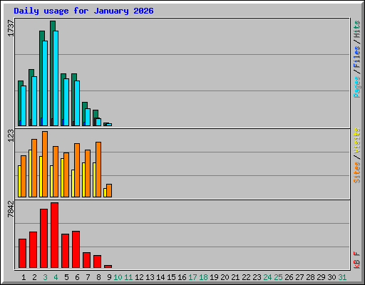 Daily usage for January 2026