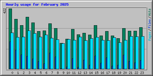 Hourly usage for February 2025