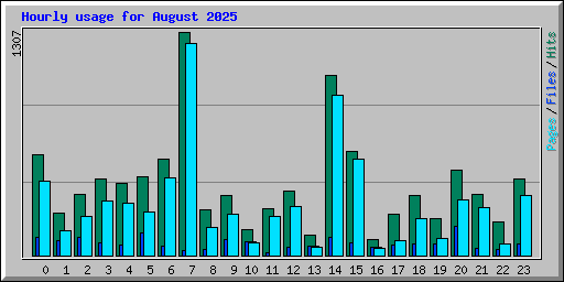 Hourly usage for August 2025
