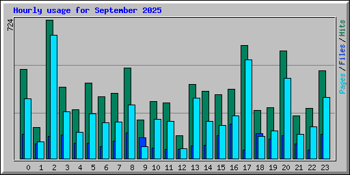 Hourly usage for September 2025