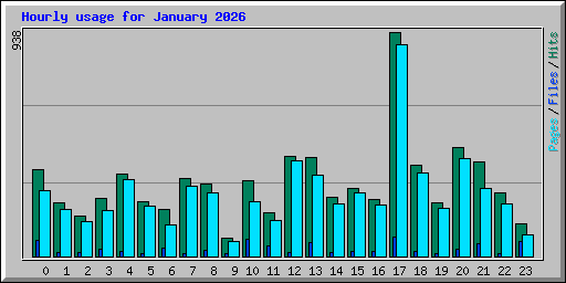 Hourly usage for January 2026