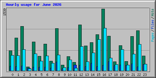 Hourly usage for June 2026