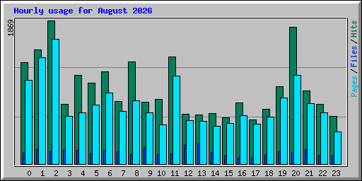 Hourly usage for August 2026