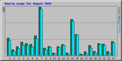 Hourly usage for August 2025