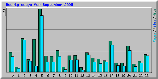 Hourly usage for September 2025