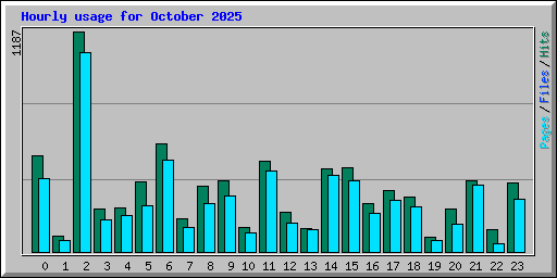 Hourly usage for October 2025