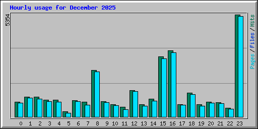 Hourly usage for December 2025