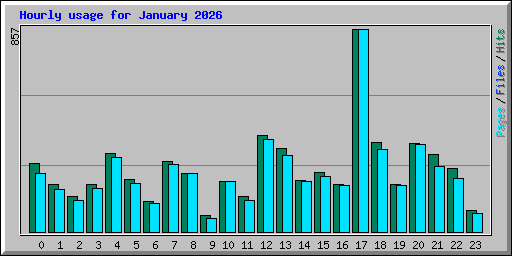 Hourly usage for January 2026