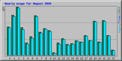 Hourly usage for August 2026